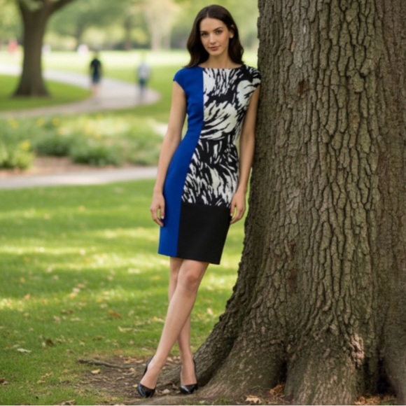 Maggy London Dresses & Skirts - Maggy London Color Block/Print Sheath Dress Black White Royal Blue Size 10